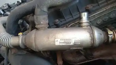 Peça sobressalente para automóvel em segunda mão radiador de gases de escape (egr) por peugeot 807 (eb_) 2.0 hdi referências oem iam 9640343780