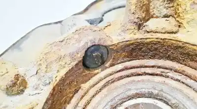 Peça sobressalente para automóvel em segunda mão sensor abs por toyota corolla (e12) 2.0 d-4d sol berlina referências oem iam 0265006676  89543-02040