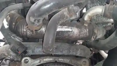 Peça sobressalente para automóvel em segunda mão radiador de gases de escape (egr) por hyundai getz (tb) 1.5 crdi referências oem iam 284162a401