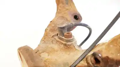 Peça sobressalente para automóvel em segunda mão sensor abs por peugeot 807 2.0 16v hdi fap referências oem iam 1493882080