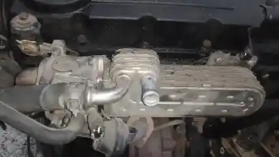 Peça sobressalente para automóvel em segunda mão radiador de gases de escape (egr) por chrysler sebring (js) 2.0 crd referências oem iam 03g131513k