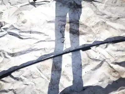 Pezzo di ricambio per auto di seconda mano plastica per bmw x5, e53 facelift 2004 - 2006 3.0 d 2003-2015 160kw 218hp riferimenti oem iam 16571lh