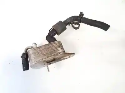İkinci el araba yedek parçası EGR SOGUTUCU için VOLKSWAGEN TOUAREG (7L6)  OEM IAM referansları 7L6203491A  043050803