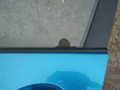 Pezzo di ricambio per auto di seconda mano plastica per mazda 3 lim. (bl) 2.2 turbodiesel cat riferimenti oem iam   