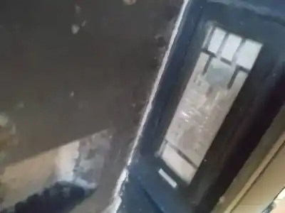 Peça sobressalente para automóvel em segunda mão luz da chapa de matrícula por renault scenic ii 1.6 16v referências oem iam 