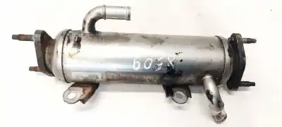 Peça sobressalente para automóvel em segunda mão Radiador De Gases De Escape (egr) por CHEVROLET CAPTIVA 2.0 Diesel CAT Referências OEM IAM 96817823  C341655, GMDAT96817829