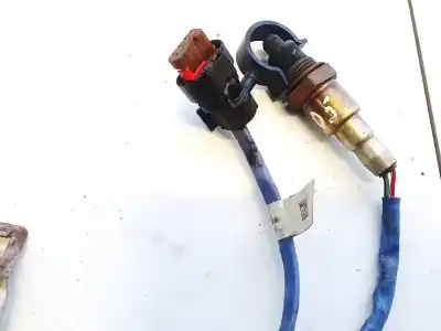 Peça sobressalente para automóvel em segunda mão sonda lambda por ford focus lim. (cb8) 1.0 ecoboost cat referências oem iam 0258030252  955233b