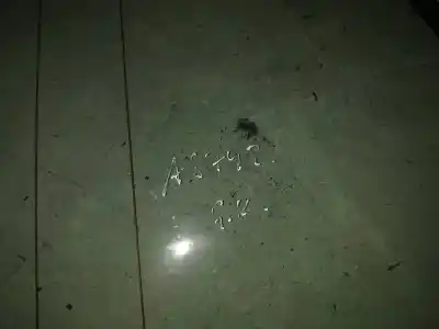 Pezzo di ricambio per auto di seconda mano vetro di custodia posteriore sinistro per citroen c8 2.2 hdi exclusive riferimenti oem iam   