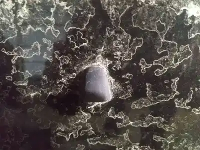 Pezzo di ricambio per auto di seconda mano plastica per volvo v50 (545) 1.8 riferimenti oem iam 