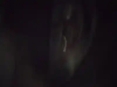 Second-hand car spare part hinge for ford focus lim. (cb8) 1.6 tdci cat oem iam references   