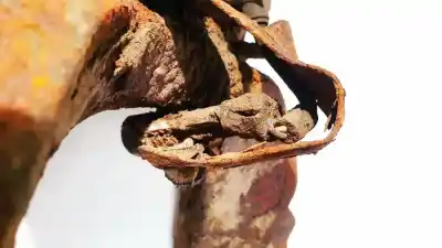 Second-hand car spare part abs sensor for chevrolet captiva 2.0 diesel cat oem iam references   