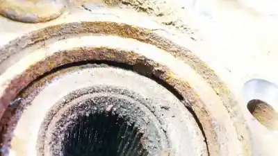 Peça sobressalente para automóvel em segunda mão sensor abs por skoda octavia combi (1z5) 1.9 tdi dpf referências oem iam   