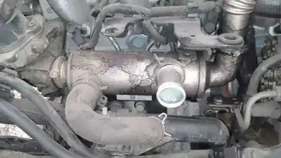 Peça sobressalente para automóvel em segunda mão RADIADOR DE GASES DE ESCAPE (EGR) por PEUGEOT 5008  Referências OEM IAM 9646762280  VP1U3H-8P445-BB