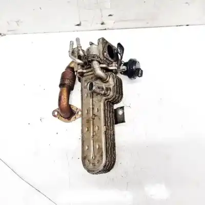 Автозапчасти б/у охладитель рог за volkswagen golf v variant (1k5) 1.9 tdi ссылки oem iam 038131513ad  038131513ad