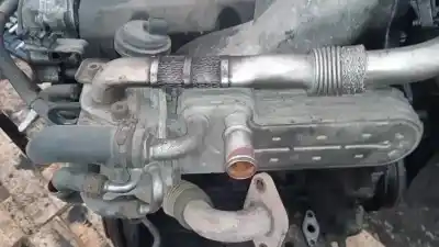 Peça sobressalente para automóvel em segunda mão radiador de gases de escape (egr) por seat leon (1p1) 1.9 tdi referências oem iam 038131513ad