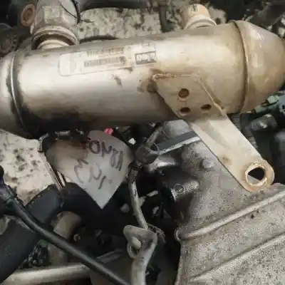 Pezzo di ricambio per auto di seconda mano raffreddatore egr per citroen c8 2.2 hdi exclusive riferimenti oem iam 9640843480  