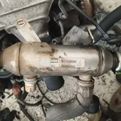 Pezzo di ricambio per auto di seconda mano raffreddatore egr per citroen c8 2.2 hdi exclusive riferimenti oem iam 9640843480  