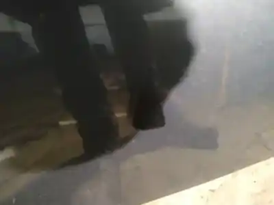 Peça sobressalente para automóvel em segunda mão plásticos por volvo v50 (545) 2.0 d referências oem iam 