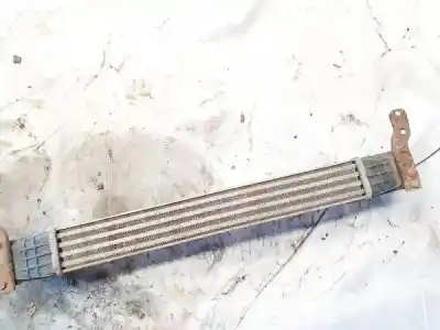 Pezzo di ricambio per auto di seconda mano intercooler per ford galaxy (vx) 1.9 tdi cat riferimenti oem iam   