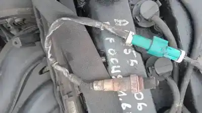 Peça sobressalente para automóvel em segunda mão sonda lambda por ford focus turnier (cb4) 1.6 16v cat referências oem iam 