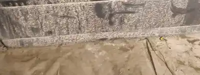 Pezzo di ricambio per auto di seconda mano plastica per volvo v50 (545) 1.6 d riferimenti oem iam 