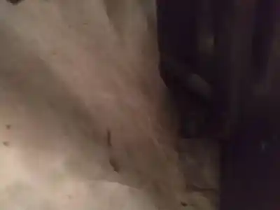 Peça sobressalente para automóvel em segunda mão dobradiça por bmw 7-series, e65 / e66 / e67 /e68 2001.11 - 2008.06 735 i 225kw 2005.03 - 2008.06 referências oem iam 