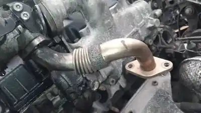 Peça sobressalente para automóvel em segunda mão tubo por volkswagen passat b5 (3b2) 1.9 tdi referências oem iam 038131521l
