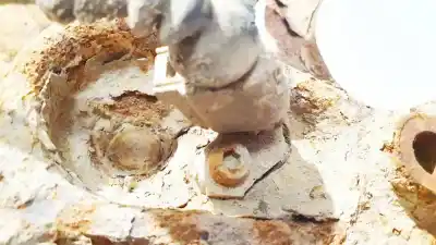 Peça sobressalente para automóvel em segunda mão sensor abs por volkswagen golf v variant (1k5) 1.4 referências oem iam   