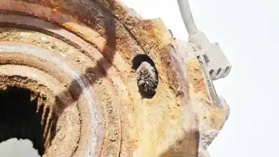 Peça sobressalente para automóvel em segunda mão sensor abs por kia ceed (ed) 1.6 crdi 115 referências oem iam 598101h300  59810-1h300