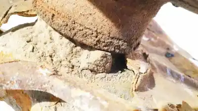 Автозапчастина б/у датчик абс для skoda octavia combi (1z5) 1.9 tdi dpf посилання на oem iam   