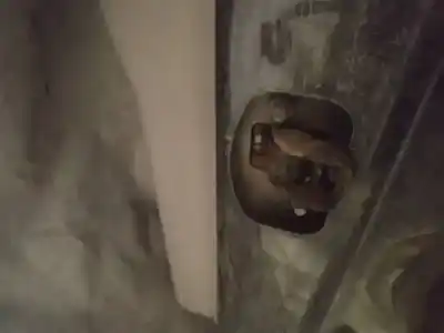 Second-hand car spare part hinge for volvo v50 (545) 2.0 d oem iam references   