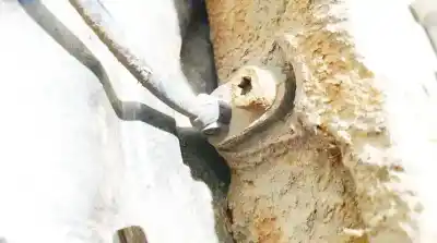 Second-hand car spare part abs sensor for bmw x1 (e84) xdrive 18 d oem iam references 