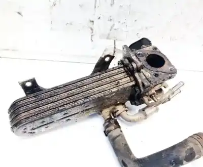 Автозапчасти б/у охладитель рог за skoda octavia combi (1z5) 1.9 tdi dpf ссылки oem iam 038131513ad  