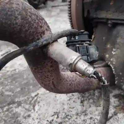 Pezzo di ricambio per auto di seconda mano sonda lambda per volkswagen golf iii (1h1) 1.6 riferimenti oem iam   
