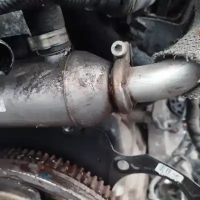 Peça sobressalente para automóvel em segunda mão radiador de gases de escape (egr) por fiat ii bravo (198) (2007->) 1.9 d multijet referências oem iam 8698954