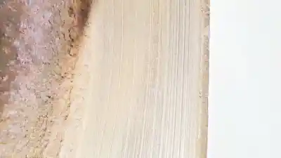 Автозапчасти б/у задний тормозной диск за citroen jumpy ii furgoneta 1.6 hdi 90 8v ссылки oem iam 2562mm  256.2mm, 001789