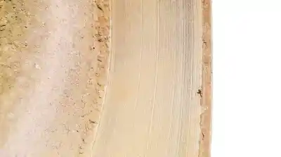 Автозапчасти б/у задний тормозной диск за citroen jumpy ii furgoneta 1.6 hdi 90 8v ссылки oem iam 2562mm  256.2mm, 001789