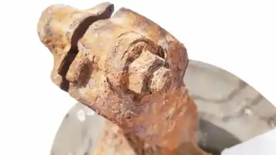 Second-hand car spare part front right knuckle for bmw x3 (e83) 2.0d oem iam references   