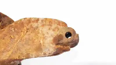 Second-hand car spare part front left knuckle for volvo v50 (545) 2.0 d oem iam references   