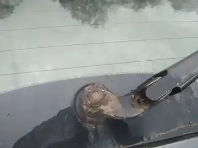 Pezzo di ricambio per auto di seconda mano motore tergicristallo posteriore per volvo v50 (545) 1.6 d riferimenti oem iam 