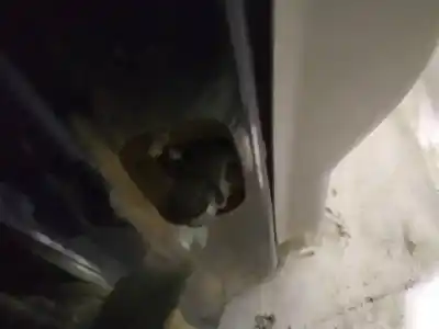 Pezzo di ricambio per auto di seconda mano cerniera per volvo v50 (545) 2.0 d riferimenti oem iam 