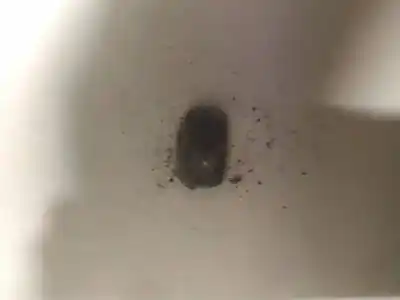 Second-hand car spare part plastics for bmw x3 (e83) 2.0d oem iam references   