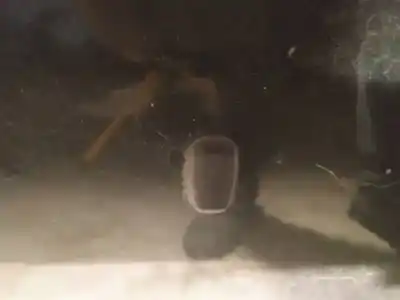 Pezzo di ricambio per auto di seconda mano plastica per ford mondeo iv 1.8 tdci riferimenti oem iam   