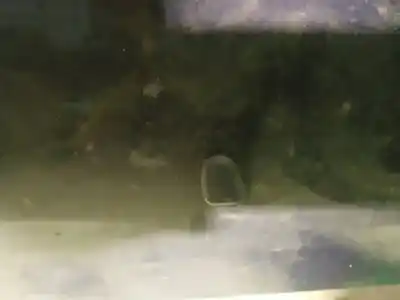 Pezzo di ricambio per auto di seconda mano plastica per volvo v50 (545) 2.0 d riferimenti oem iam 