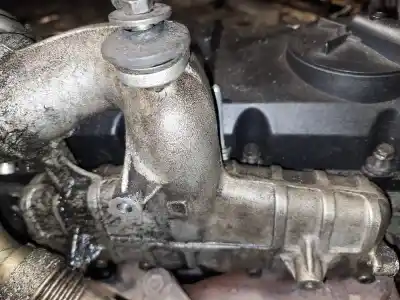 Pezzo di ricambio per auto di seconda mano collettore di aspirazione per ford galaxy (vx) 1.9 tdi cat riferimenti oem iam   