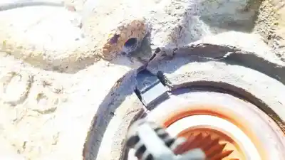 Peça sobressalente para automóvel em segunda mão sensor abs por mazda 2 lim. (de) 1.4 diesel cat referências oem iam d6514370x  