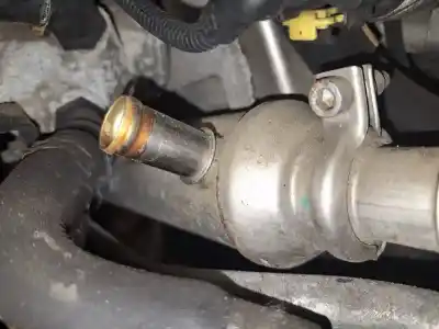 Pezzo di ricambio per auto di seconda mano raffreddatore egr per fiat croma (194) 1.9 8v multijet dynamic riferimenti oem iam 