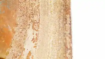 Автозапчасти б/у задний тормозной диск за citroen c-crosser 2.2 hdi fap cat ссылки oem iam   