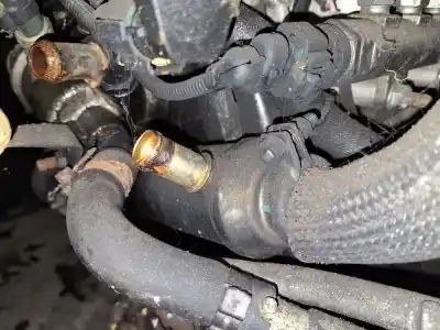 Peça sobressalente para automóvel em segunda mão radiador de gases de escape (egr) por fiat croma (194) 1.9 8v multijet dynamic referências oem iam 