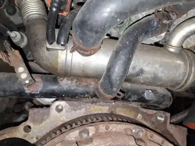 Pezzo di ricambio per auto di seconda mano raffreddatore egr per kia rio 1.5 crdi riferimenti oem iam   